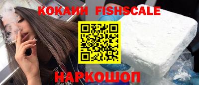 бошки Кингисепп