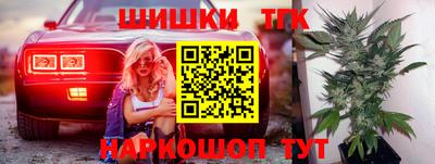 бошки Кингисепп
