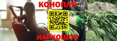 бошки Кингисепп