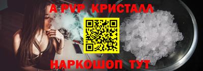 бошки Кингисепп