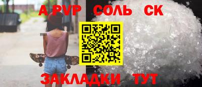 бошки Кингисепп