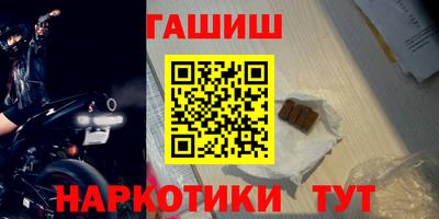 бошки Кингисепп