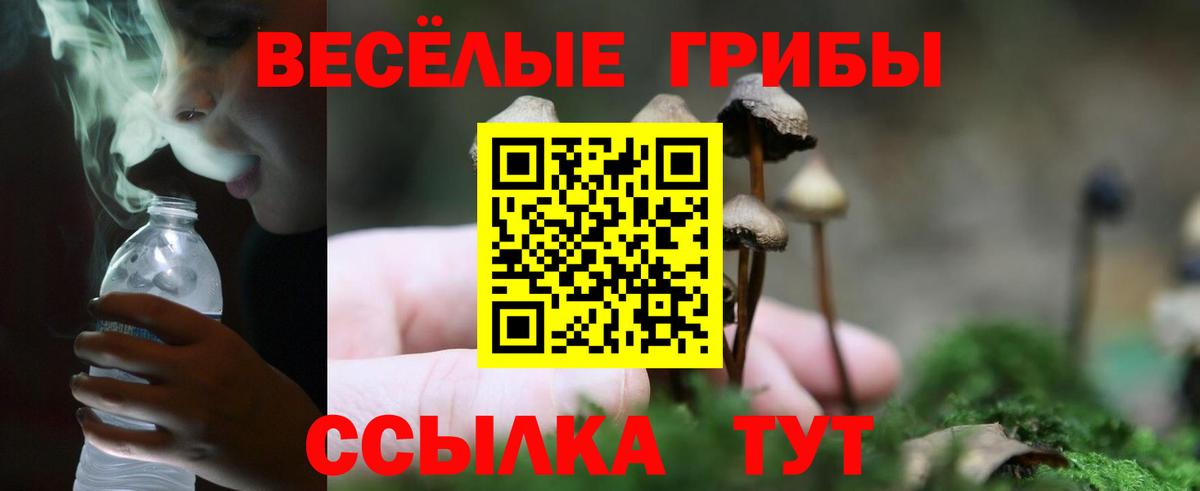 Псилоцибиновые грибы Magic Shrooms Слободской