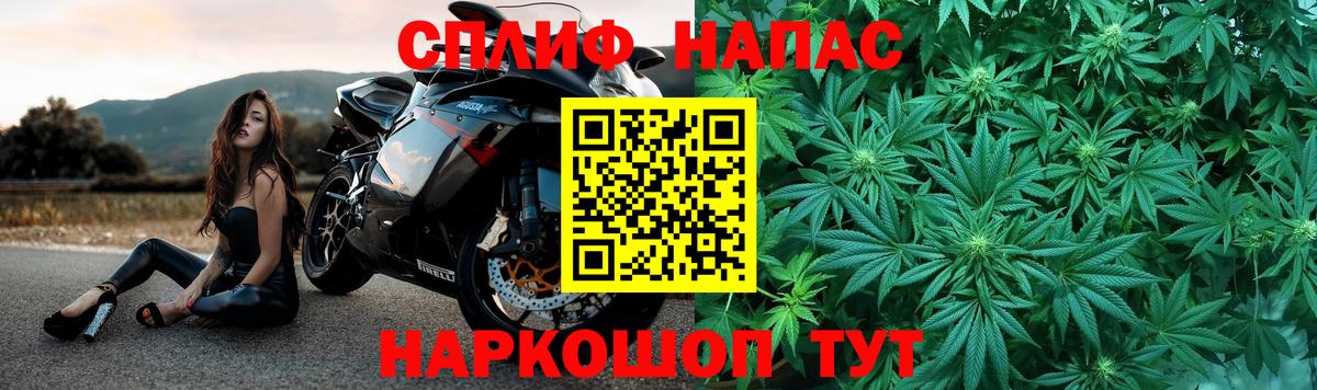 Шишки марихуана Amnesia Слободской